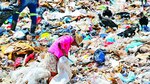 Apuesta millonaria para eliminar los vertederos