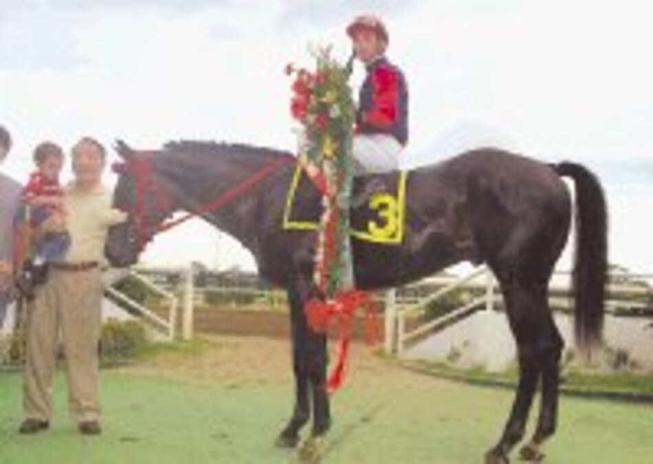 ‘Diamond Hill’ ganó el clásico Navidad