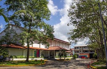 Arte y sostenibilidad: el MAC Panamá abre su temporada expositiva 2025
