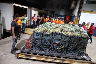 La aerolínea colombiana Aerosucre apoyará con el traslado de insumos médicos a Chiriquí