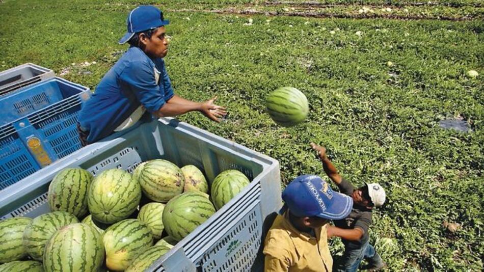 Exportaciones, un desafío para pequeñas compañías