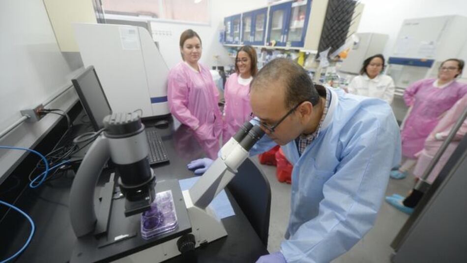 Científicos panameños identifican tratamiento contra el virus mayaro