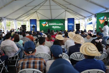 Banco Nacional proyecta desembolsos por $678 millones en Panamá y Panamá Oeste