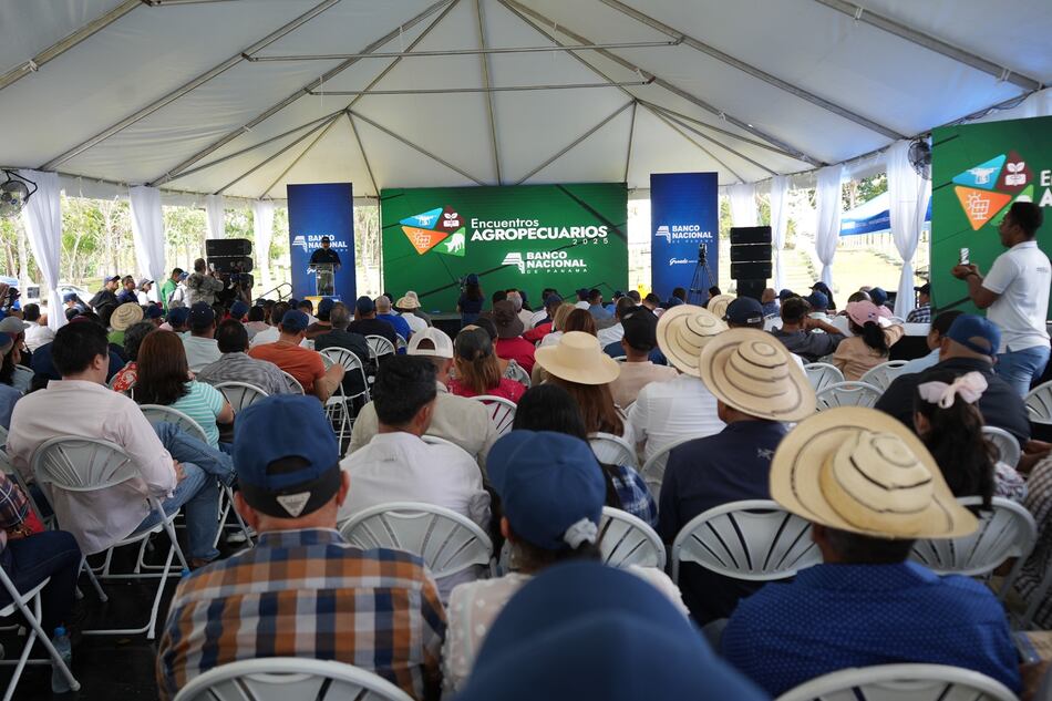 Banco Nacional proyecta desembolsos por $678 millones en Panamá y Panamá Oeste