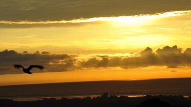 Temperatura media global fue la más alta registrada entre enero y octubre
