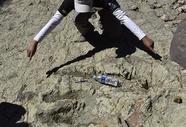 Bolivia tiene un verdadero 'Jurassic Park'