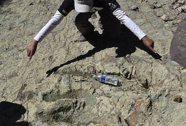 Bolivia tiene un verdadero 'Jurassic Park'