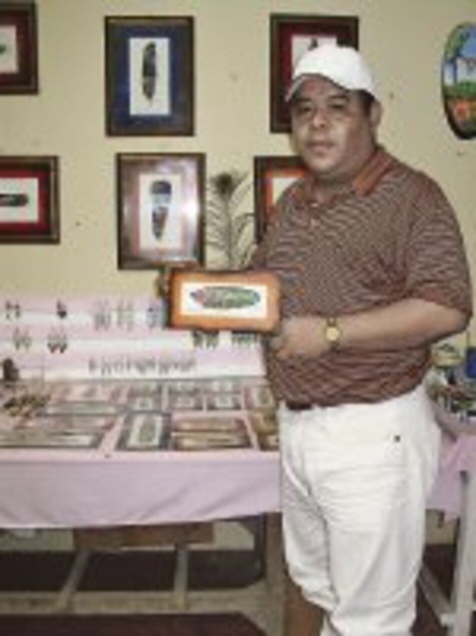 Naturaleza en plumas de ave