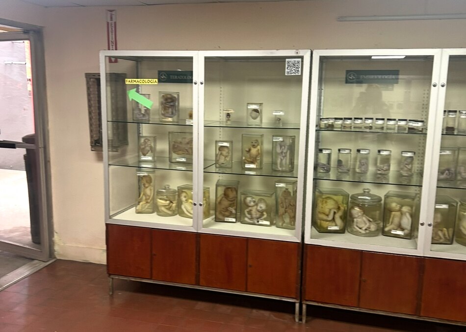 Solo 26 estudiantes de escuelas oficiales logran cupo en medicina en la Universidad de Panamá