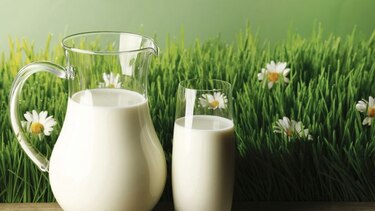La importancia nutricional de la leche