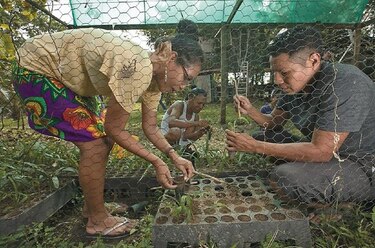 Los defensores del Darién