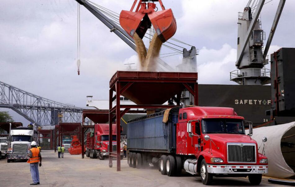 Arroz importado invade mercado en época de cosecha