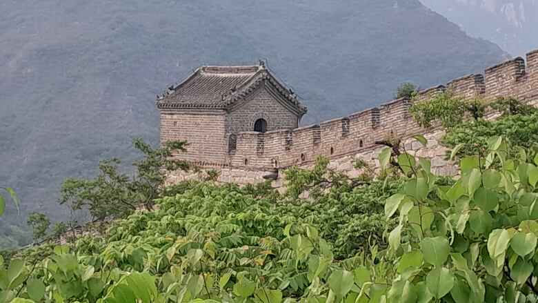 Ante la inmensidad de la muralla