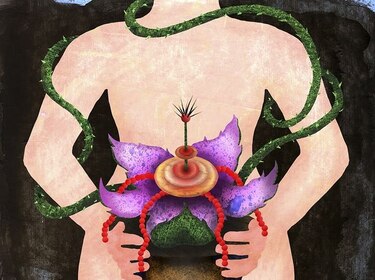 Ovarios poliquísticos