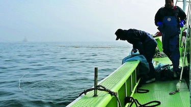 La pesca ilegal y el despojo de nuestra identidad