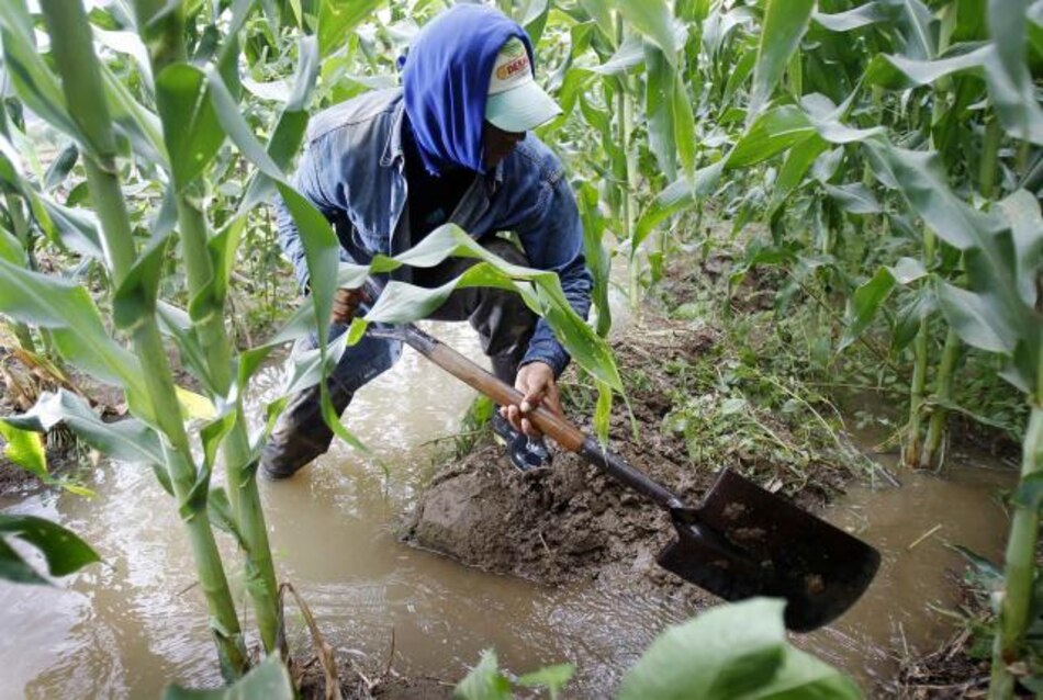 Perú lanza Inventario Nacional Forestal para salvar los bosques