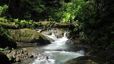 La naturaleza también es rentable