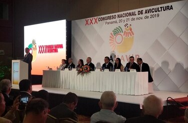 Avicultores consolidan liderazgo en el sector agropecuario