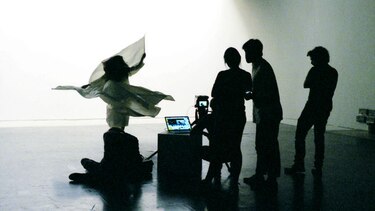 Animal, una manada creativa