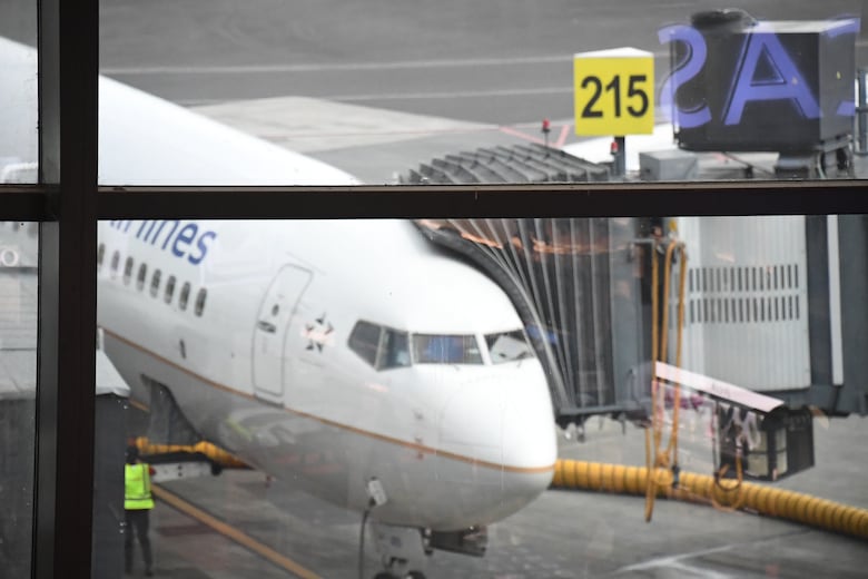 Cómo encontrar pasajes aéreos más económicos para viajar desde Panamá