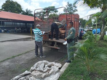 Retienen camión con madera talada en el Parque Soberanía