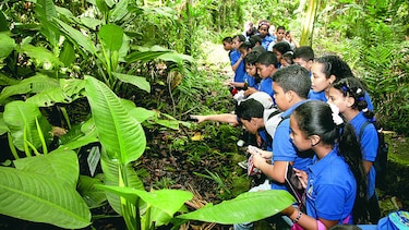 Reciclar en las faldas del cerro