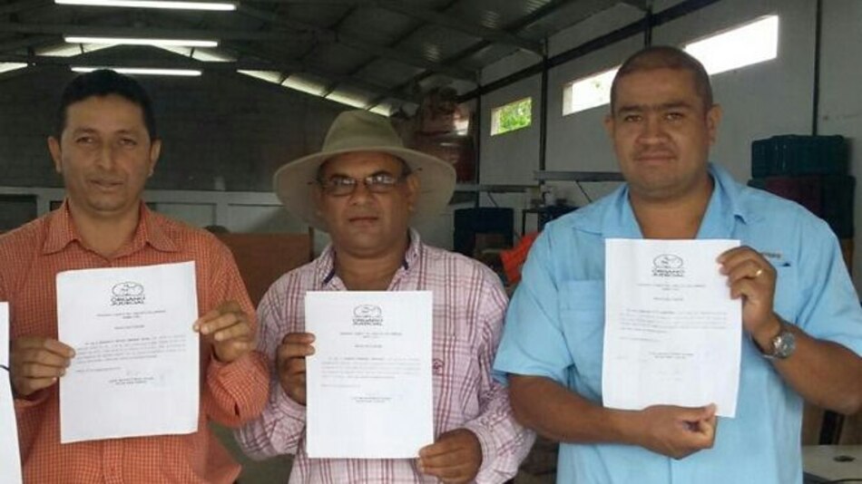 Productores son citados por el Juzgado Cuarto Ramo Penal por bajar el precio de la cebolla