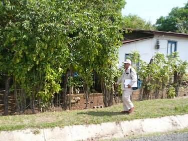 Minsa inicia uso de rodenticidas para erradicar virus hanta en Tonosí