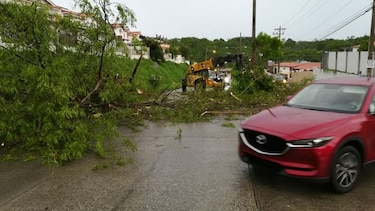 Fuertes lluvias y vientos causan caída de árboles y voladura de techo en la Cancillería