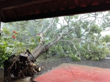 Reportan al menos 76 viviendas y 380 personas afectadas por fuertes lluvias en diferentes partes del país