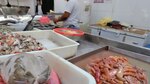 Un grito de auxilio desde el mar