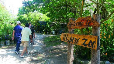 ‘Catalina’, cría de tapir, nace en cautiverio