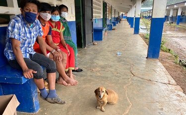 Rescatistas piden donaciones para cientos de mascotas que se quedaron sin hogar tras las lluvias 