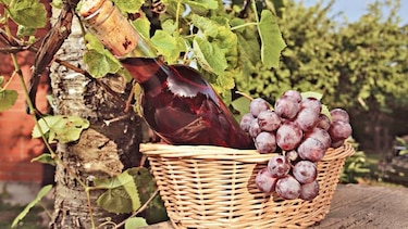 Las formas en que cambiará el vino en 2019