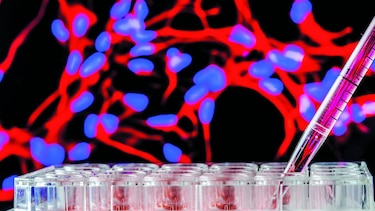 Vínculo entre el cáncer y los baños