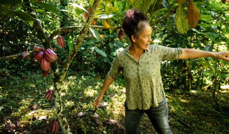 Las dos caras del cacao