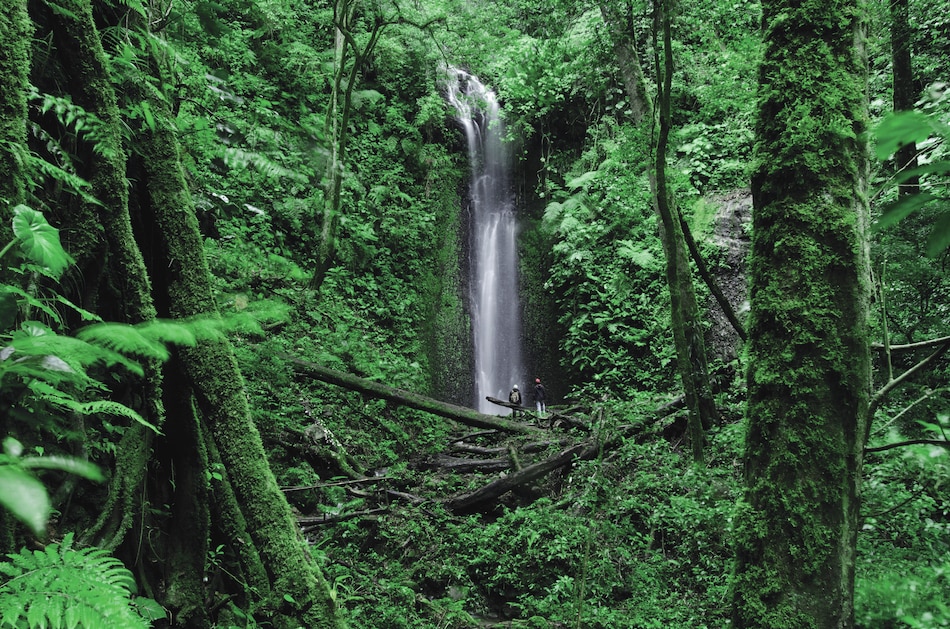 Ambiente, economía y trabajo pueden armonizarse