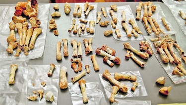 Huellas del pasado en Cerro Juan Díaz