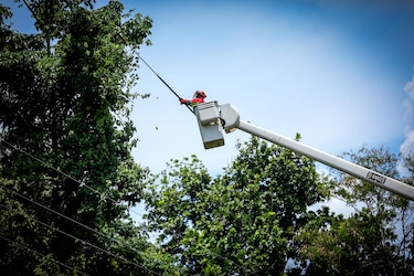 Trabajos de mantenimiento en la red eléctrica del 20 al 26 de julio de 2026 