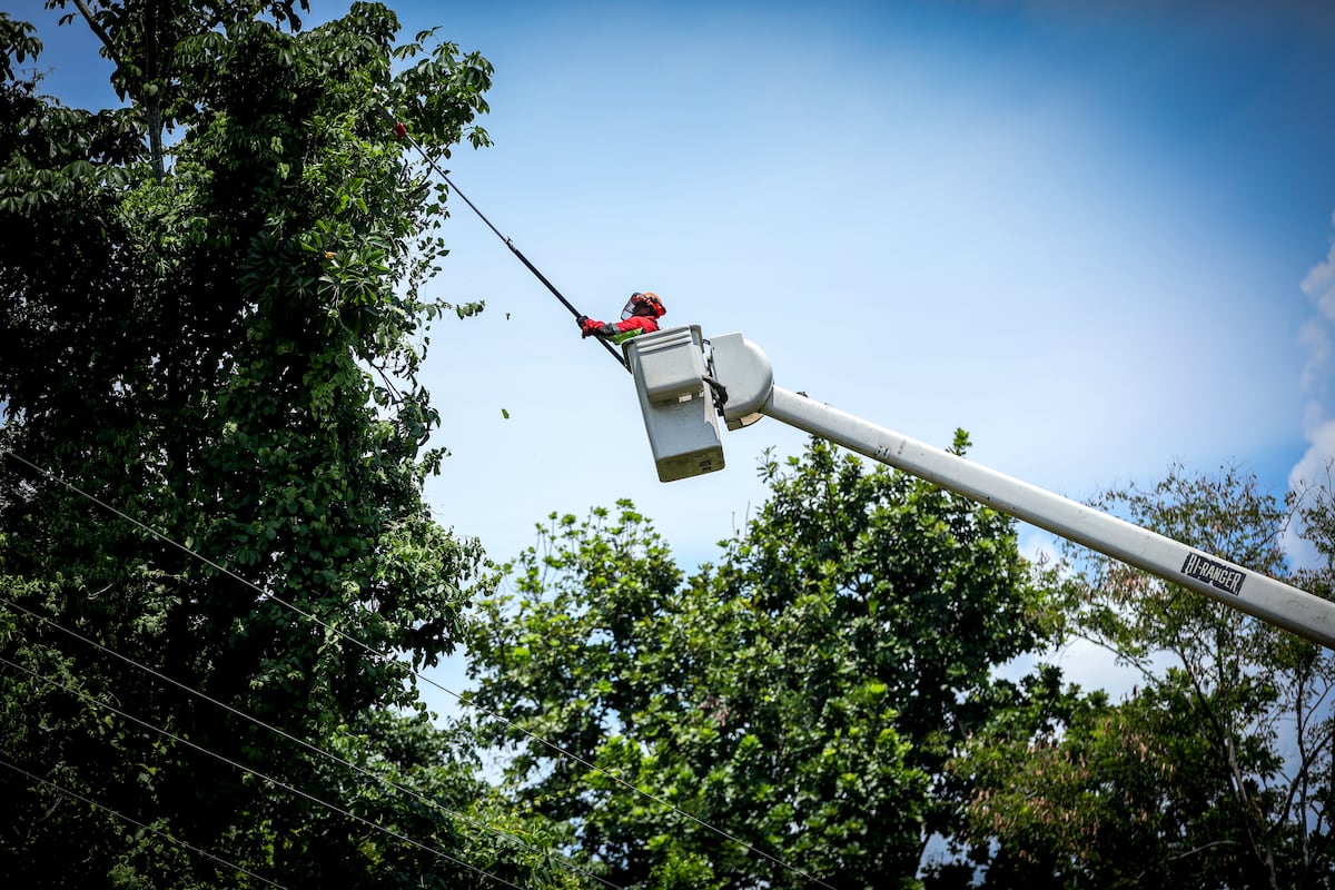 Trabajos de mantenimiento en la red eléctrica del 1 al 7 de junio de 2026