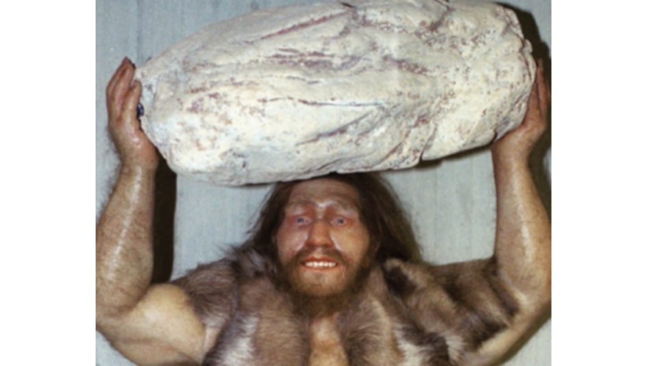 Premian estudio de especies desaparecidas