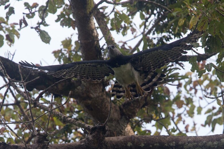 Entrevista con Guillaume Blanchard, un ingeniero óptico aficionado a la astronomía