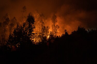En los últimos 20 años se han duplicado los incendios forestales extremos