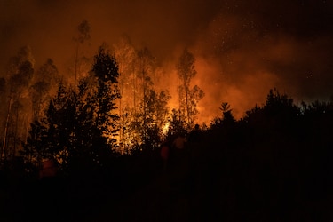 En los últimos 20 años se han duplicado los incendios forestales extremos