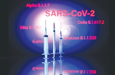 Sistema inmunitario de la llama podría proteger del SARS-CoV-2 y 18 virus más