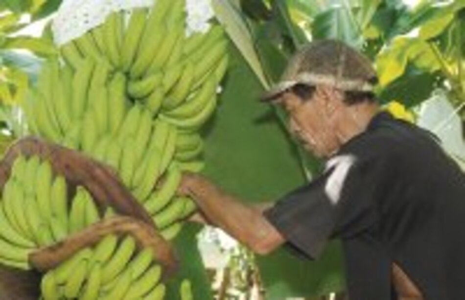 Un triunfo desde Chinandega