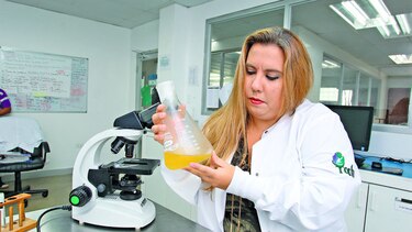 El sueño de una científica
