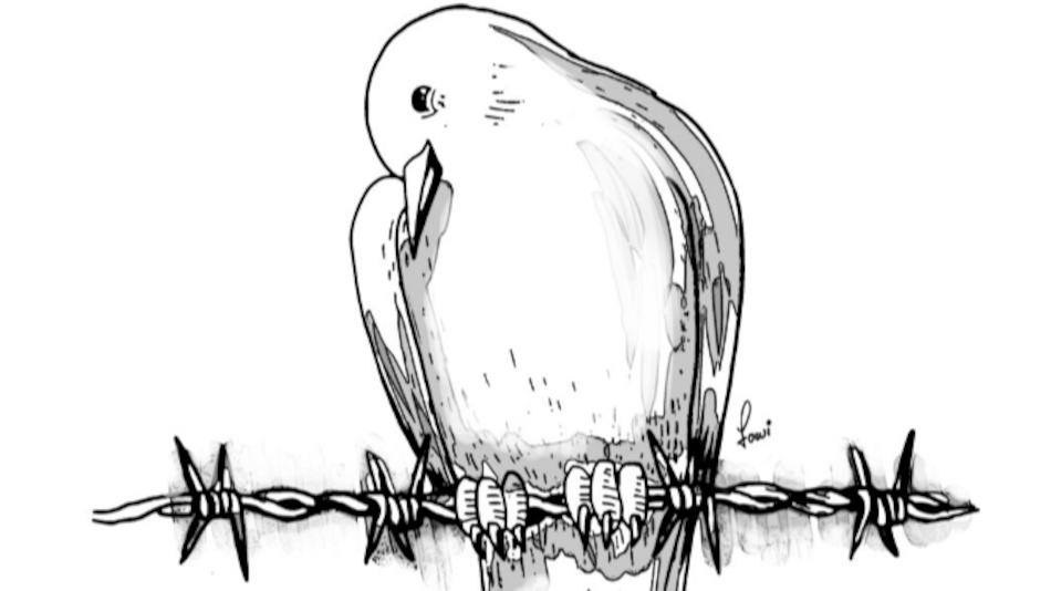 Tergiversación de la historia