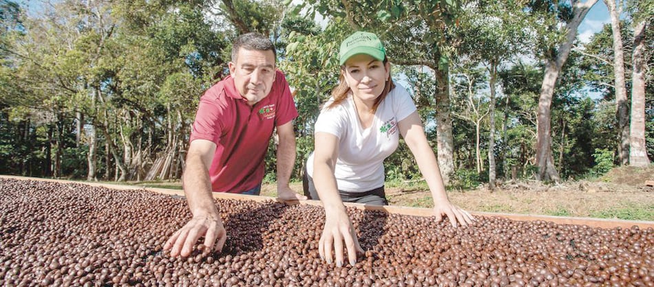 Café panameño se supera a sí mismo; cerca de ser perfecto