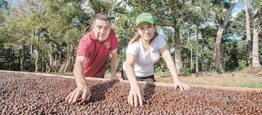 Café panameño se supera a sí mismo; cerca de ser perfecto